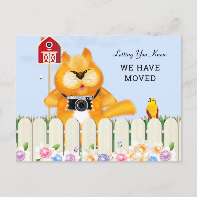 Carte Postale Les oiseaux et les chats dans le jardin| Changemen (Devant)