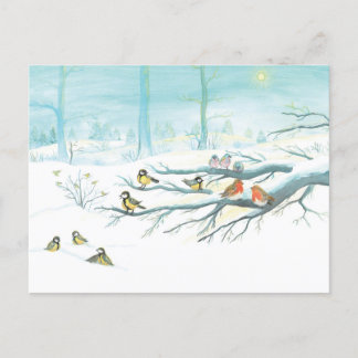 Carte Postale Les oiseaux forestiers en hiver