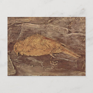 Carte Postale Les oiseaux morts