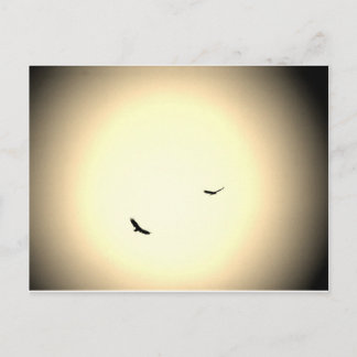 Carte Postale les oiseaux s'envolent dans le ciel