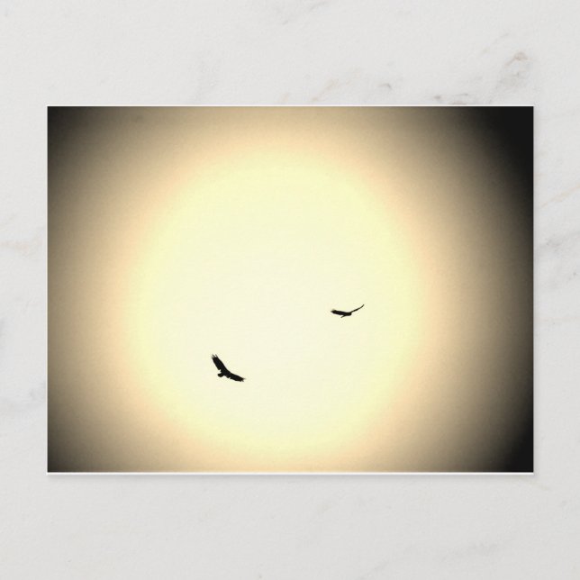 Carte Postale les oiseaux s'envolent dans le ciel (Devant)