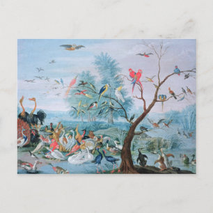 Carte Postale Les oiseaux tropicaux dans un paysage