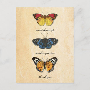 Carte postale Les Papillons Merci