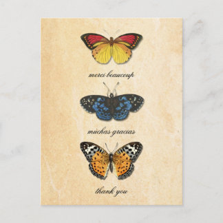 Carte postale Les Papillons Merci