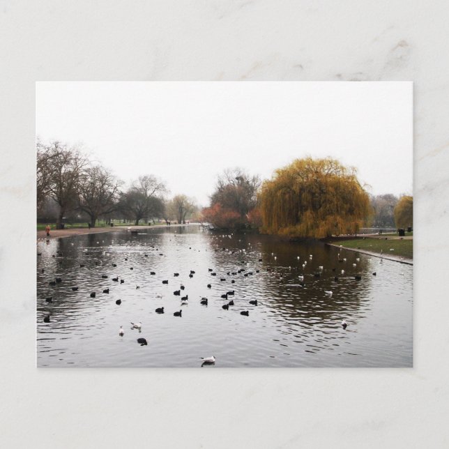 Carte Postale Les parcs de LONDRES (Devant)