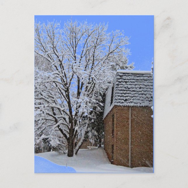 Carte Postale Les paysages de neige de NJ (Devant)