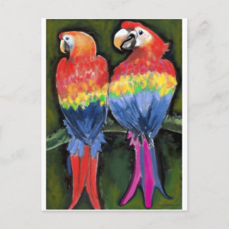 Carte Postale Les perroquets