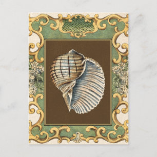 Carte Postale Les petites coquilles de sirène
