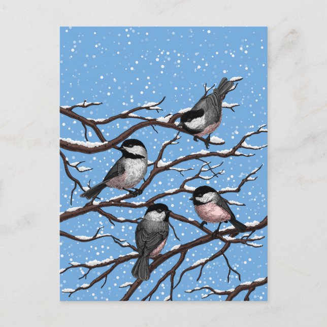 Carte Postale Les poulets en hiver (Devant)