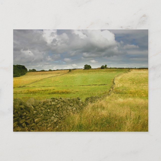 Carte Postale Les prairies et les murs (Devant)