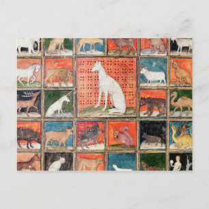 Carte Postale Les propriétés des bêtes : Les mammifères