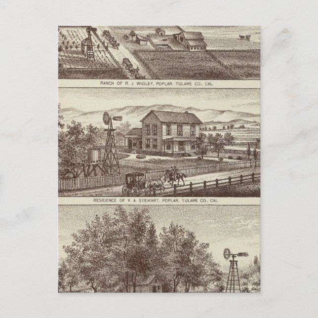 Carte Postale Les ranchs du peuplier (Devant)