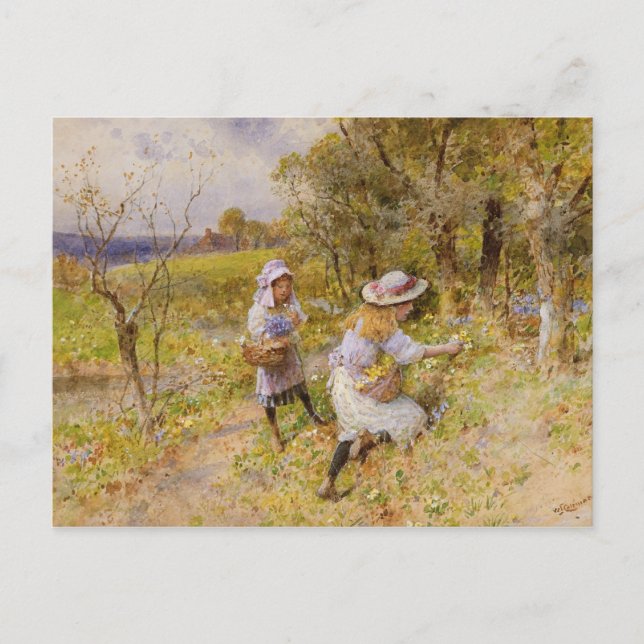 Carte Postale Les Rassembleurs Primrose (Devant)