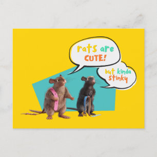Carte Postale Les Rats Sont Mignons Mais Plutôt Stinky