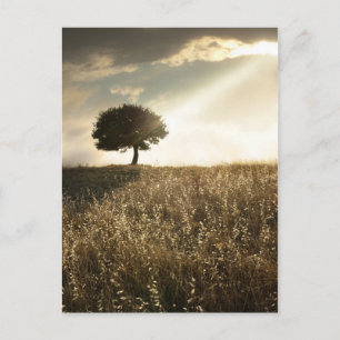 Carte Postale Les rayons de lumière traversent le ciel dramatiqu