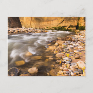 Carte Postale Les rétrécissements de la rivière Virgin en automn