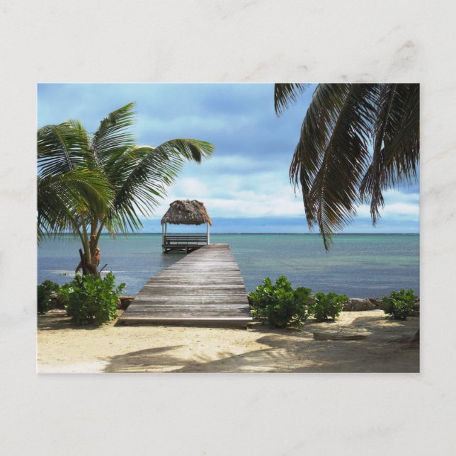 Carte Postale Les rêves des îles (Devant)
