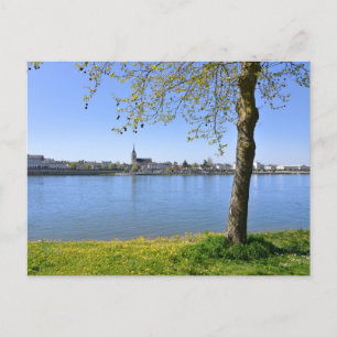 Carte Postale Les rives de la Loire à Saumur