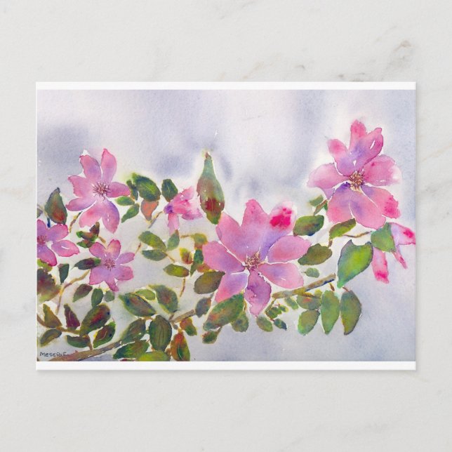 Carte Postale Les Roses de Nana (Devant)