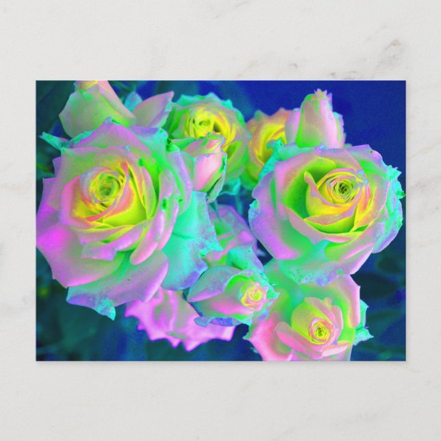 Carte Postale Les roses perlés iridescents (Devant)