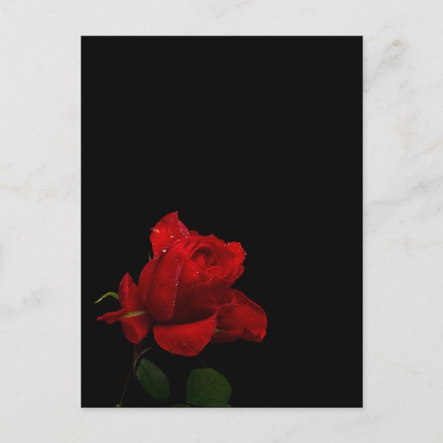 Carte Postale Les roses sont rouges (Devant)