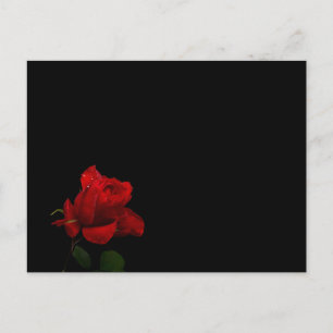 Carte Postale Les roses sont rouges
