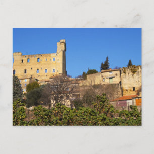 Carte Postale Les ruines du château d'été du Pape en