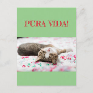 Carte Postale Les sages et l'humour PuraVida ! Le chat dort en v
