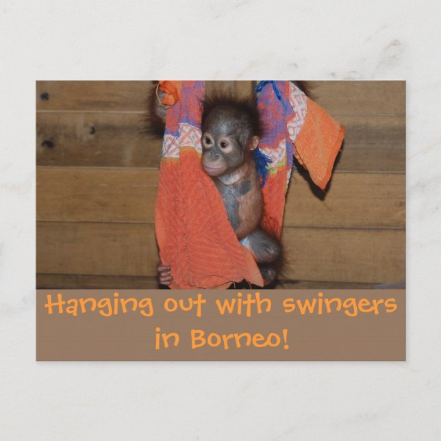 Carte Postale Les salutations Swingings de Adventure Travel (Devant)
