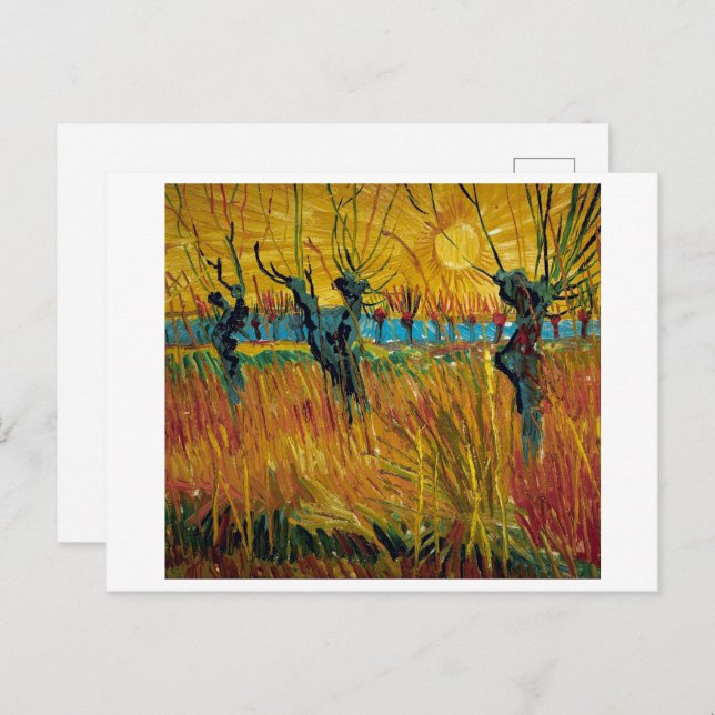 Carte Postale Les saules au coucher du soleil | Van Gogh | (Devant / Derrière)