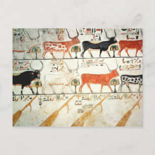 Carte Postale Les sept vaches célestes et le taureau sacré