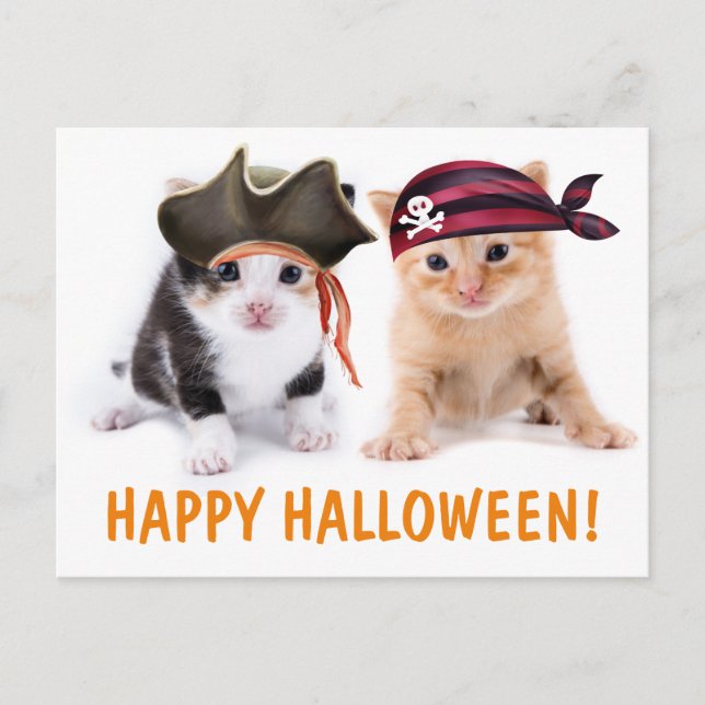 Carte Postale Les Soeurs Kitten Pirate Halloween (Devant)