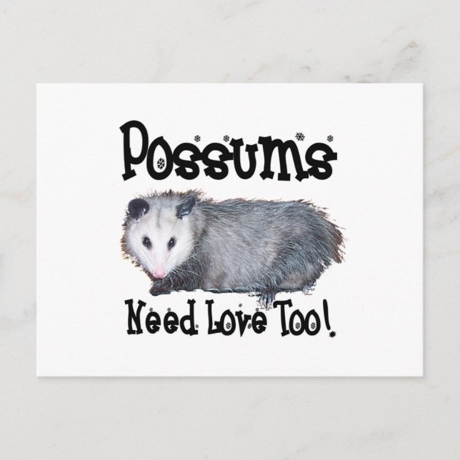 Carte Postale Les Sommes Possum ont aussi besoin d'amour (Devant)