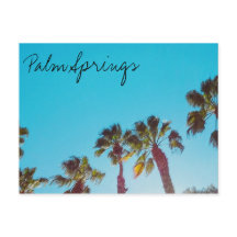 Les sources d'eau de Palm ensoleillées