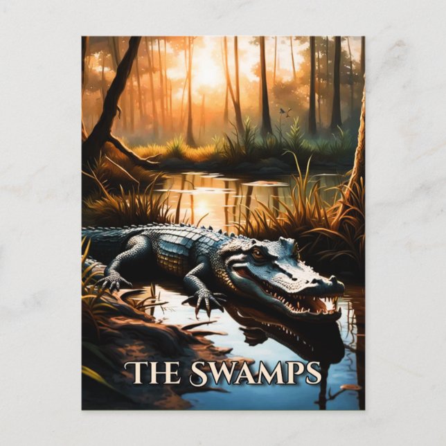 Carte Postale Les Swamps (Devant)