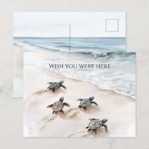Carte Postale Les tortues de mer Ocean Beach Coast