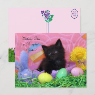Carte Postale Les voeux de Pâques d'Angel le Kitten