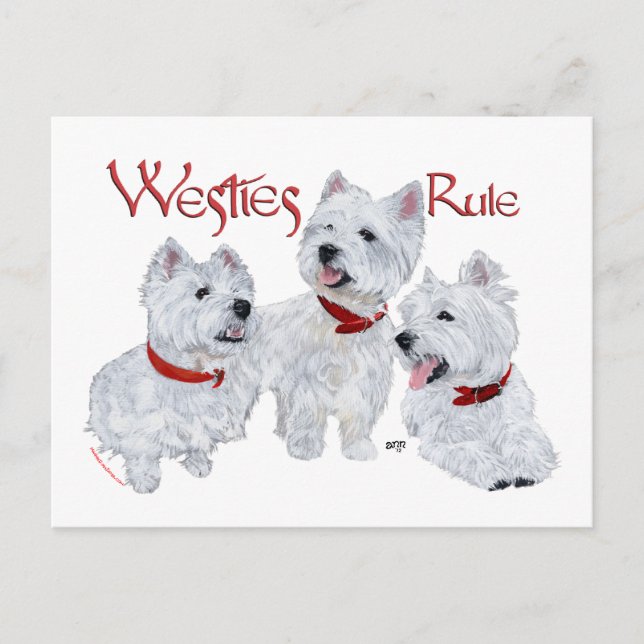 Carte Postale Les Westies règnent ! (Devant)