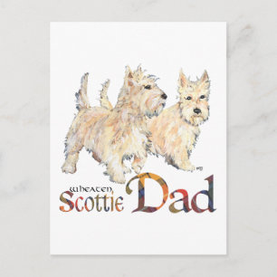 Carte Postale Les Wheaten Scotties célèbrent la fête des Pères