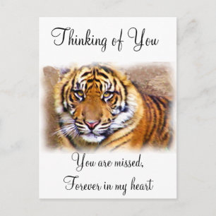 Carte Postale Les yeux qui voient_