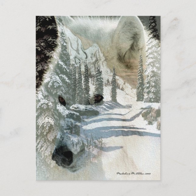 Carte Postale L'Esprit Du Sauvage (Devant)