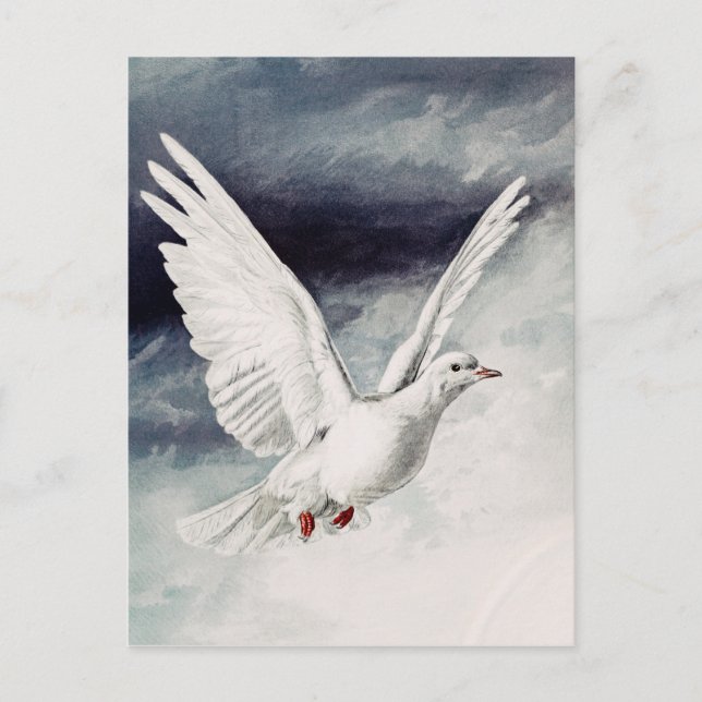 Carte Postale L'esprit saint sous forme de colombe (Devant)