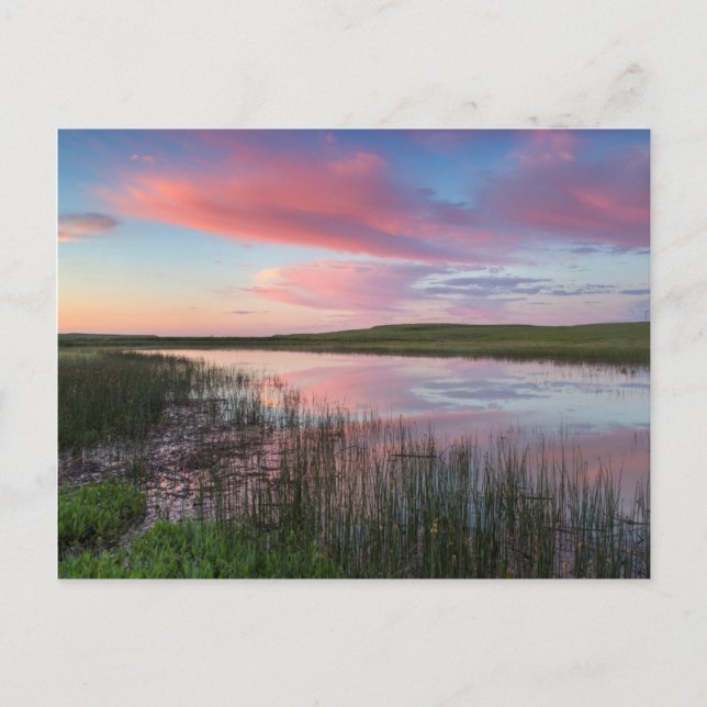 Carte Postale L'étang Des Prairies Reflète Des Nuages De Lever D (Devant)