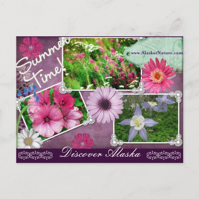 Carte Postale L'été en Alaska (Devant)