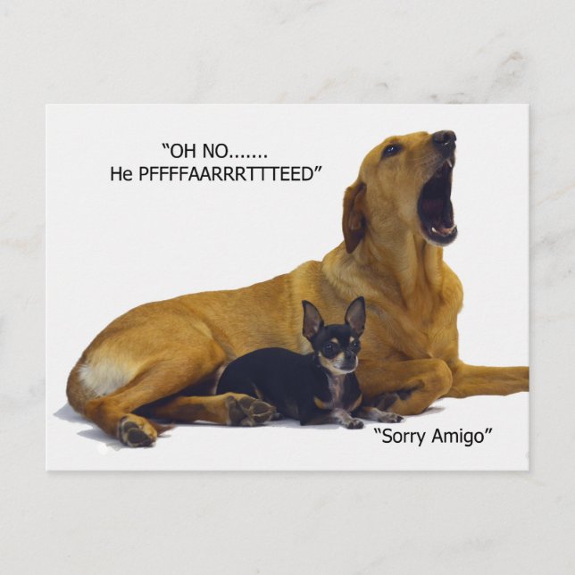 Carte Postale L'étiquette est la faute du chien (Devant)