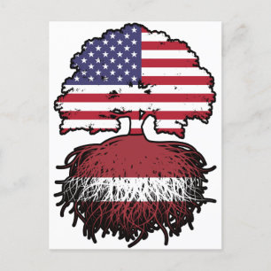 Carte Postale Lettonie Letton Amérique États-Unis Amérique