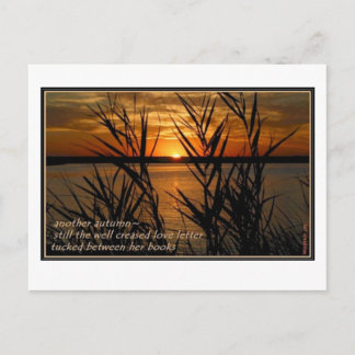 CARTE POSTALE LETTRE D'AMOUR BIEN CRÉÉE