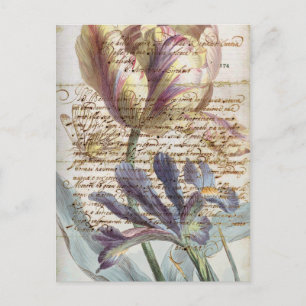 Carte Postale lettre vintage