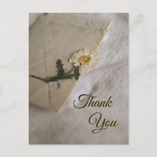 Carte Postale Lettre Vintage Marguerite Blanche et Jaune (Devant)