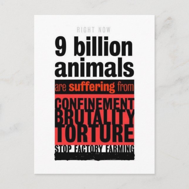 Carte Postale Leurs souffrances (Devant)